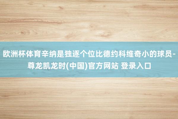 欧洲杯体育辛纳是独逐个位比德约科维奇小的球员-尊龙凯龙时(中国)官方网站 登录入口